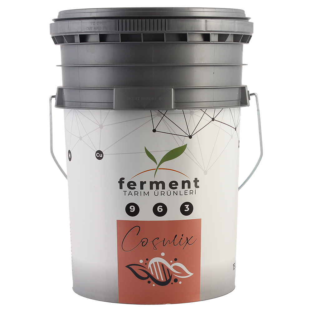Ferment Cosmix