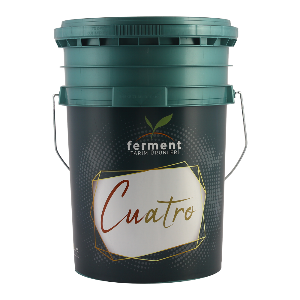 Ferment Cuatro