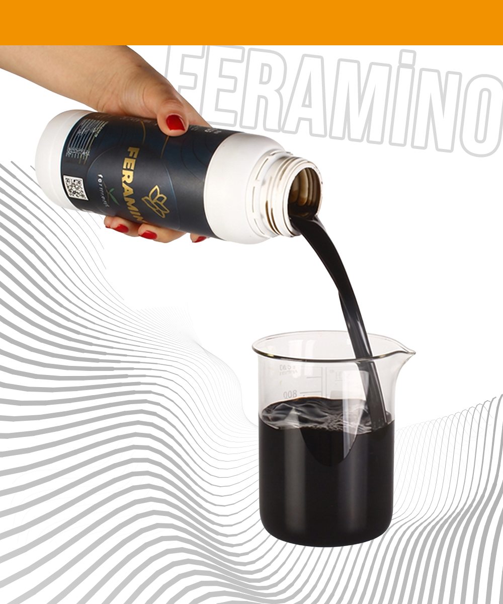 Ferment Feramino