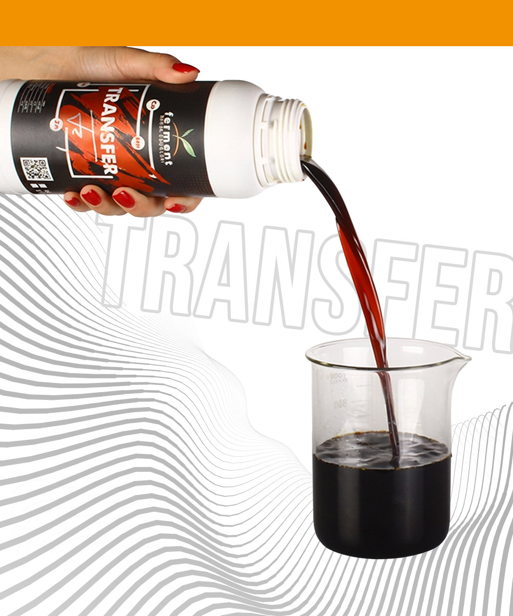 Ferment Transfer