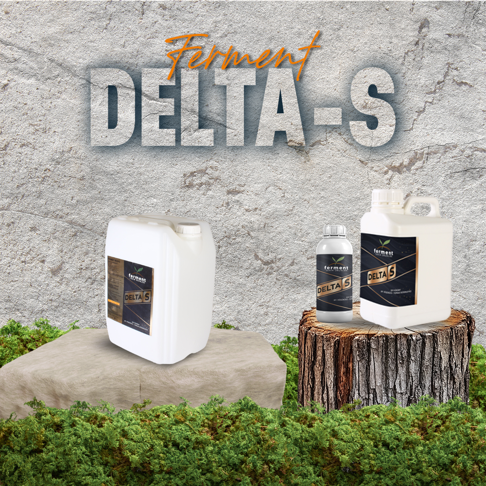 ferment-delta-s