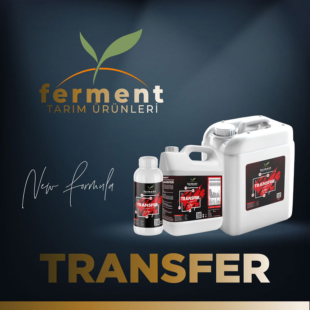 ferment-transfer