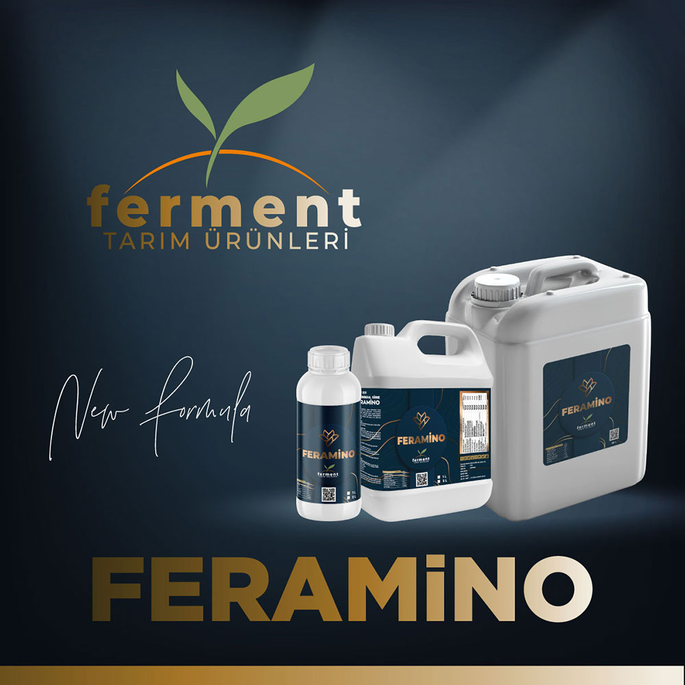 ferment-feramino