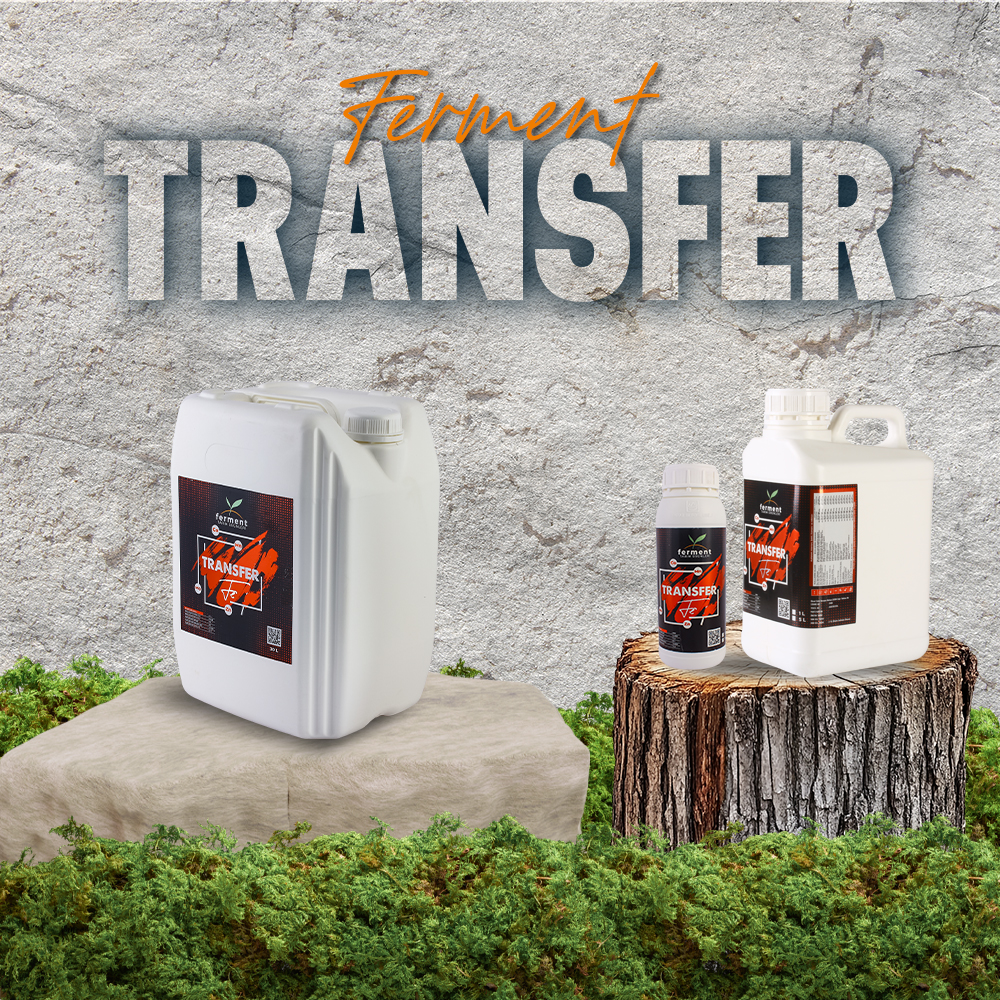 ferment-transfer