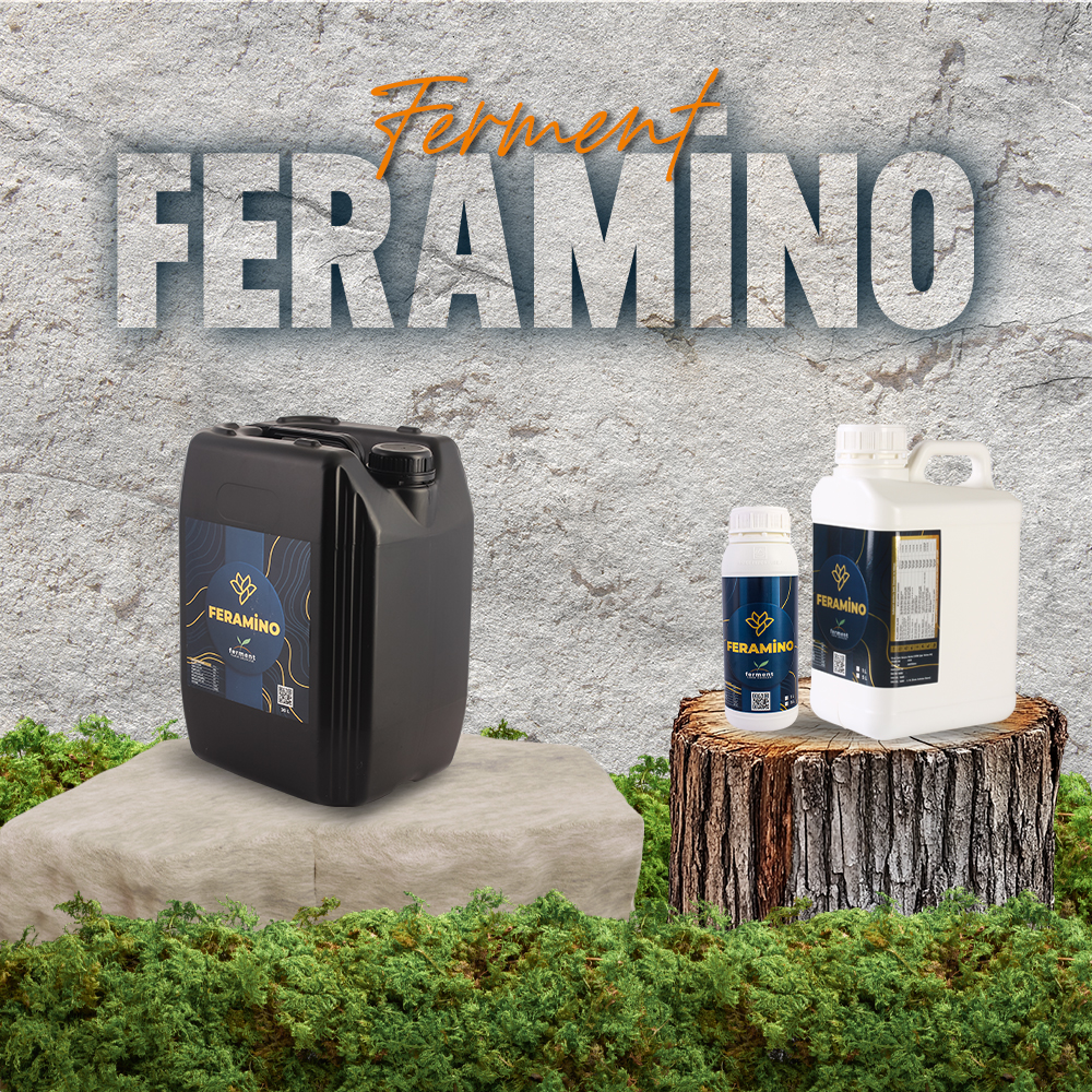 ferment-feramino