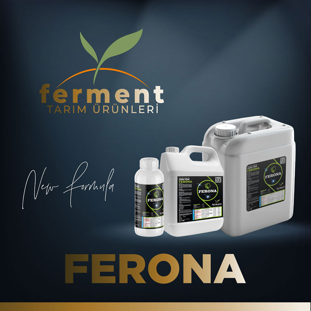 ferment-ferona