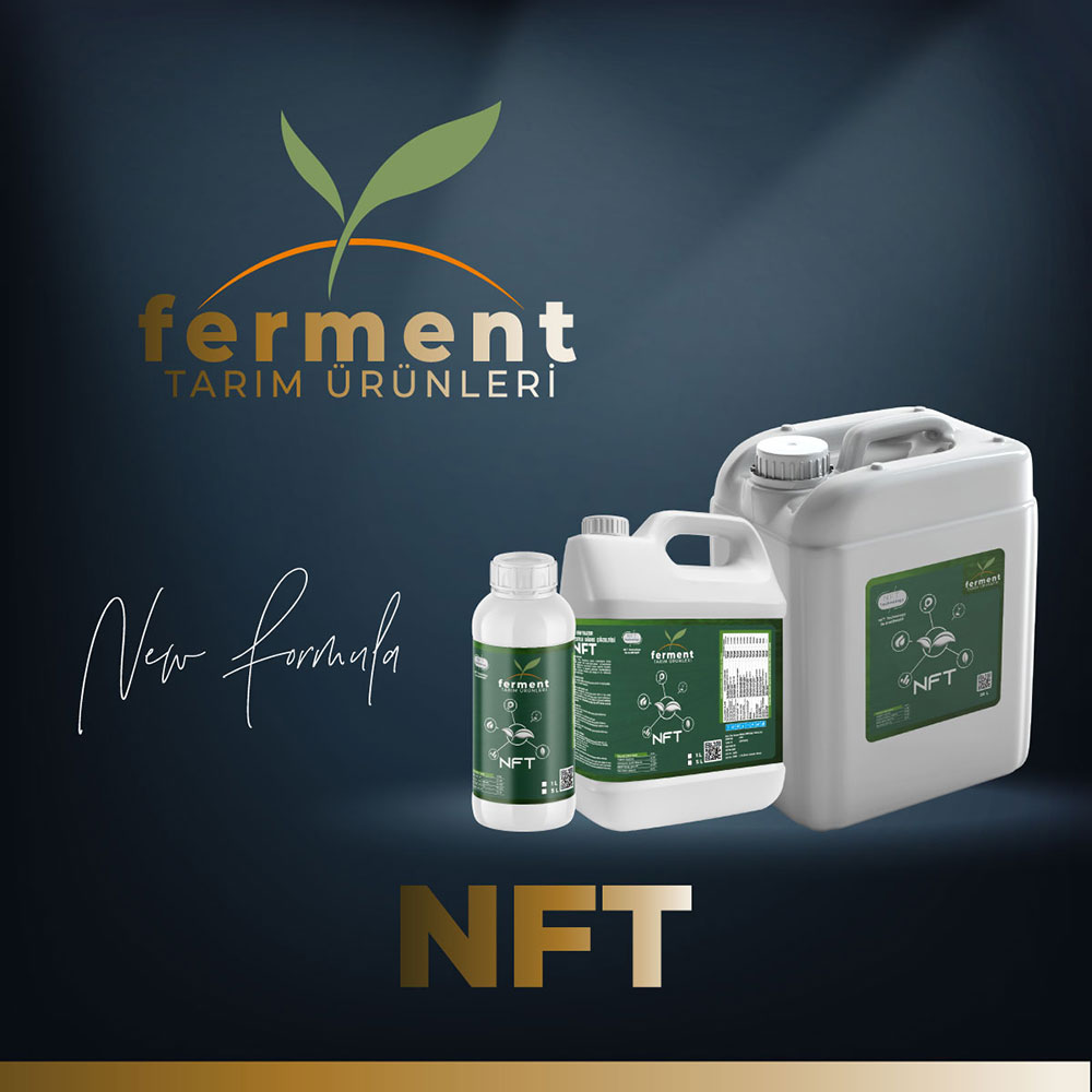 ferment-nft