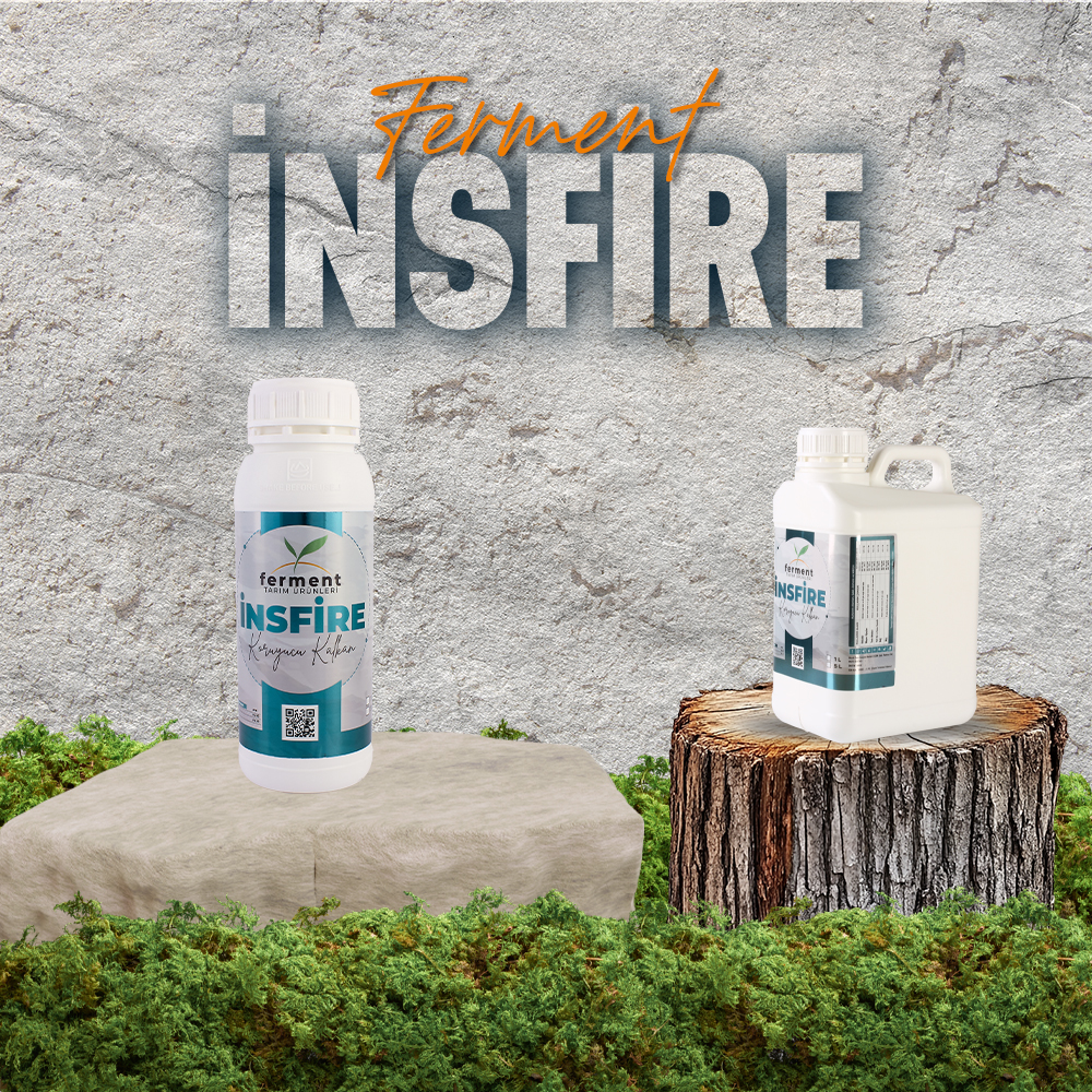 ferment-insfire