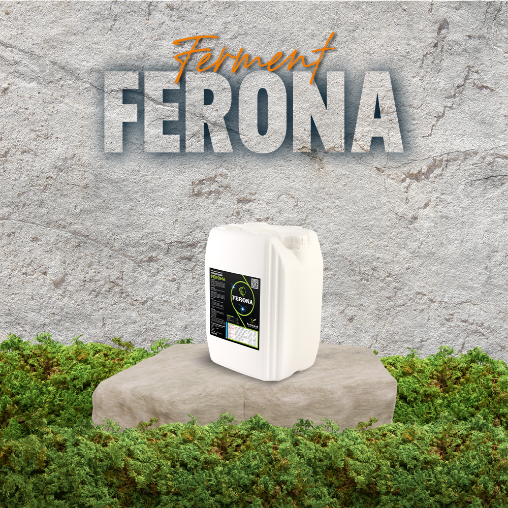 ferment-ferona