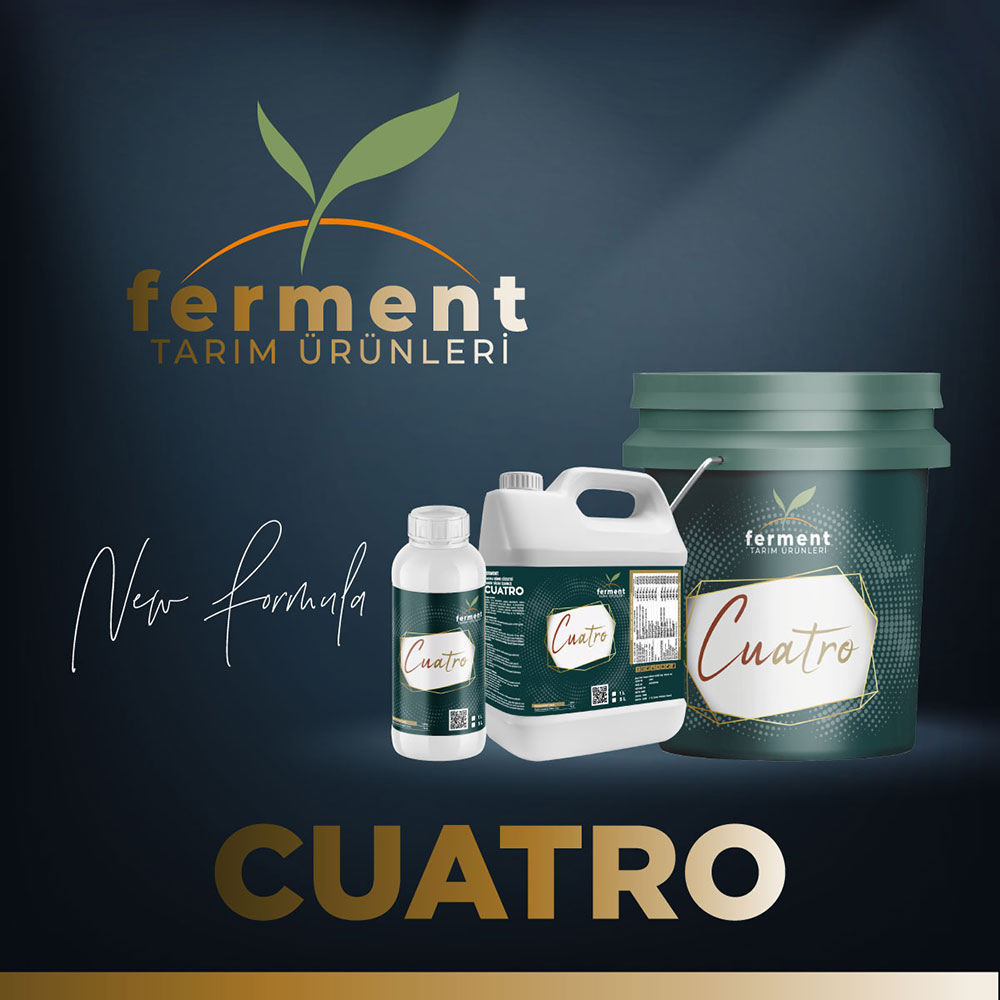 ferment-cuatro