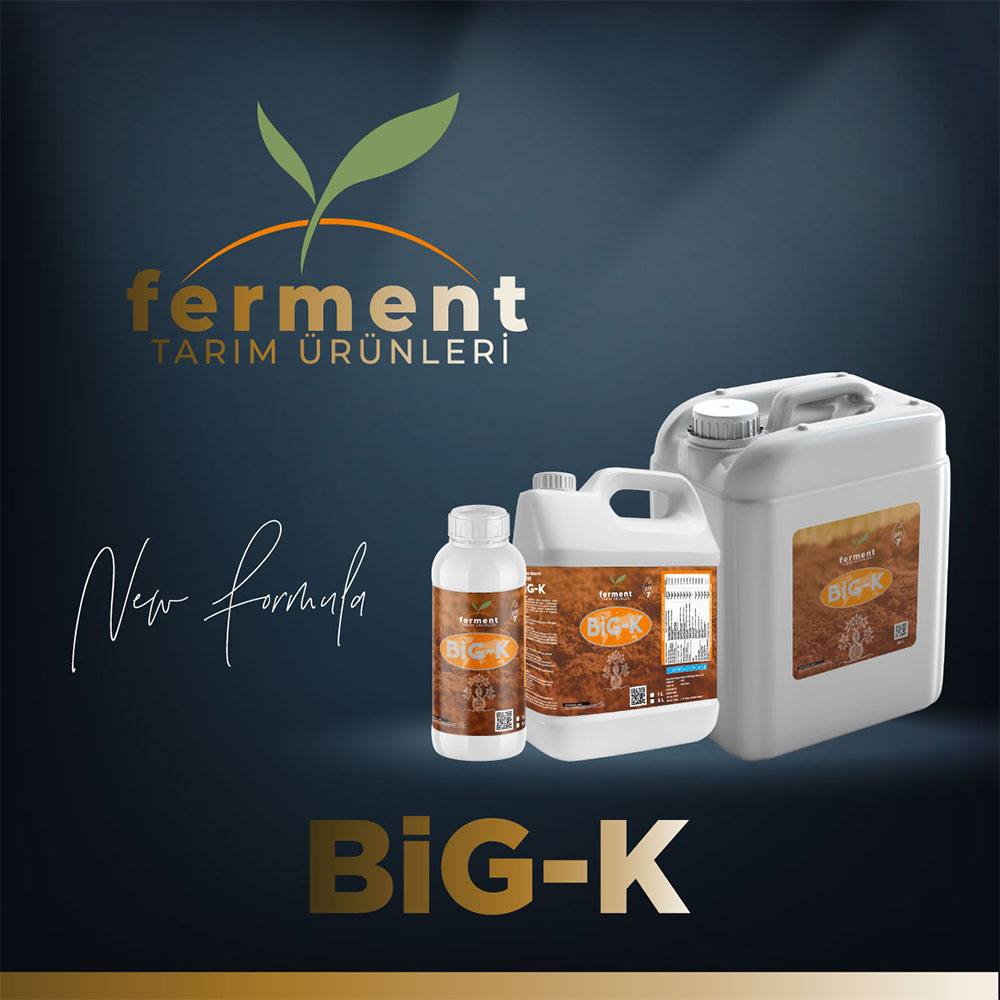 ferment-big-k