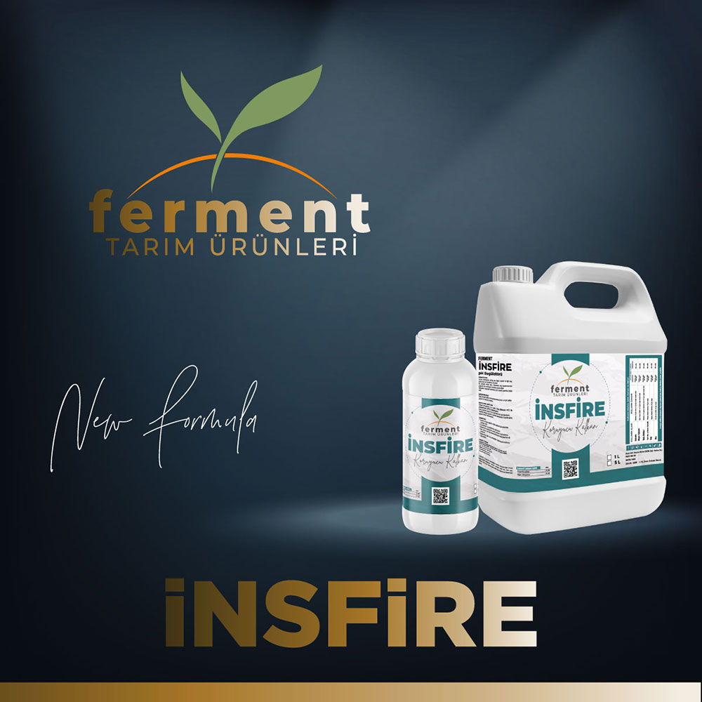 ferment-insfire